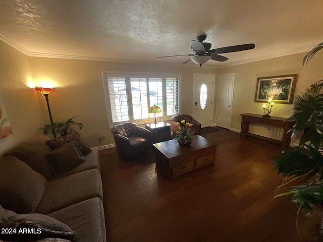 living area featuring crown molding, a textured ceiling, and wood finished floors