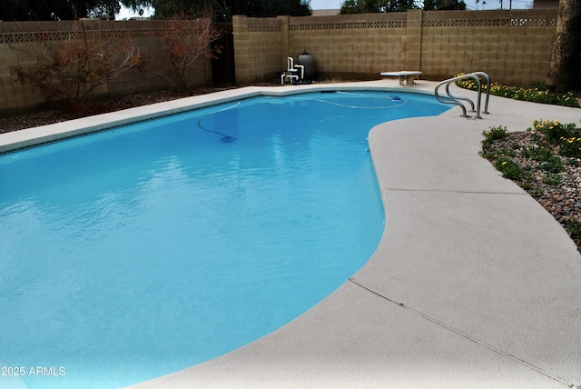 view of swimming pool featuring a patio area and a diving board