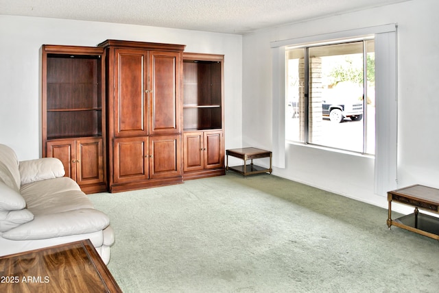 carpeted living room with a textured ceiling