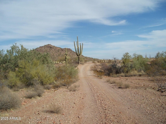 29980 W Restin Rd Unit 146, AZ, 85361 land for sale