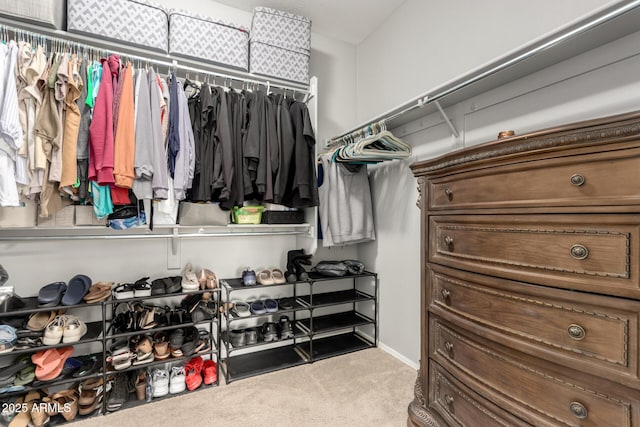 spacious closet with carpet