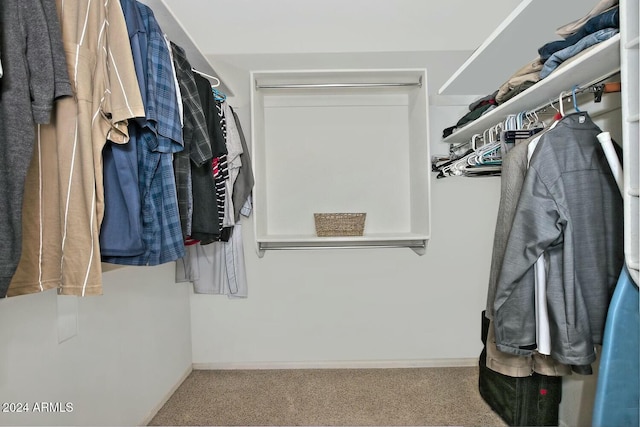 spacious closet with light carpet