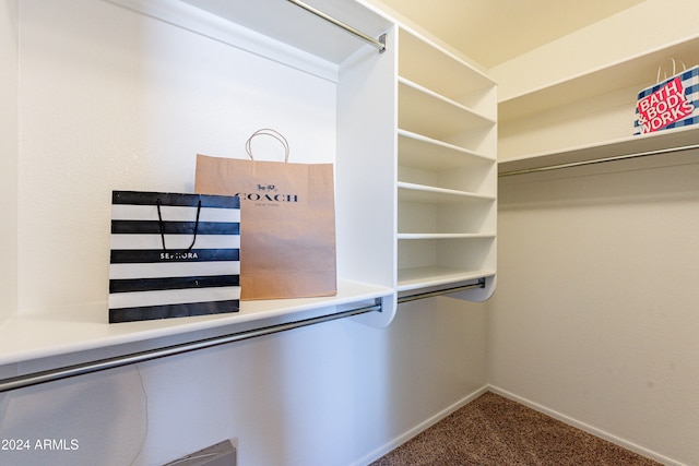 spacious closet with carpet floors