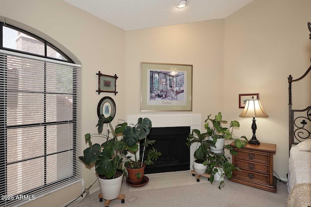 interior space with carpet and a fireplace