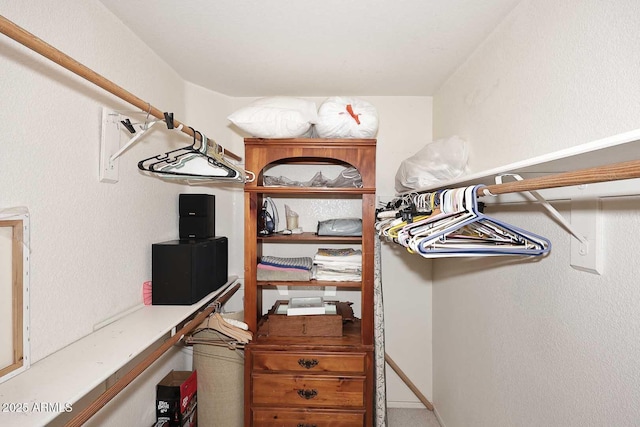 view of spacious closet