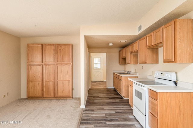 2995 W Rd 1 S, Chino Valley, AZ 86323 - kitchen with white range with electric stovetop, a sink, light countertops, baseboards, and visible vents