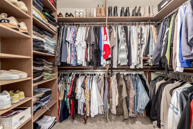 1421 E Charleston Ave, Phoenix, AZ 85022 - view of spacious closet