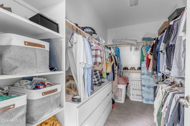 walk in closet featuring light colored carpet