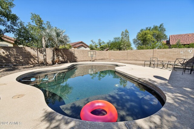 view of swimming pool with a patio area