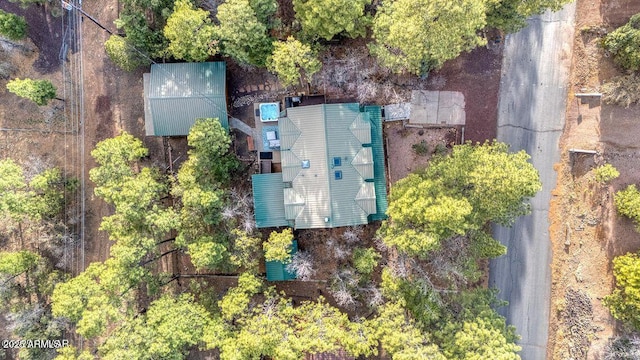 4893 W Big Pine Dr, Lakeside, AZ 85929 - bird's eye view