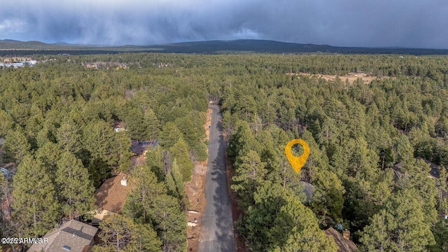 4893 W Big Pine Dr, Lakeside, AZ 85929 - drone / aerial view with a wooded view