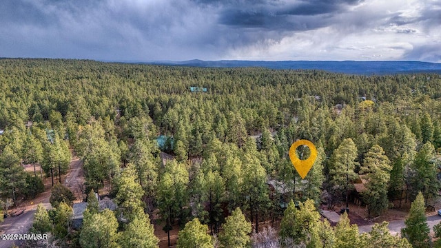 4893 W Big Pine Dr, Lakeside, AZ 85929 - birds eye view of property with a forest view
