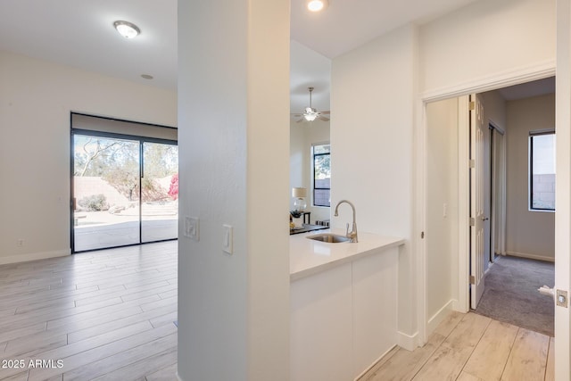 hall with plenty of natural light, sink, and light hardwood / wood-style floors