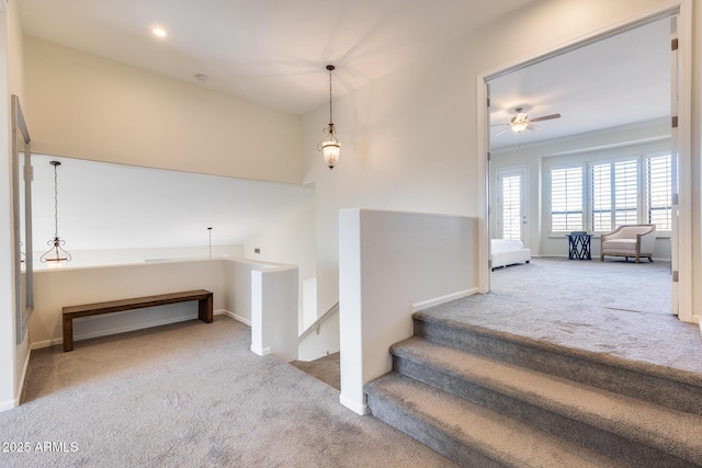 staircase featuring carpet