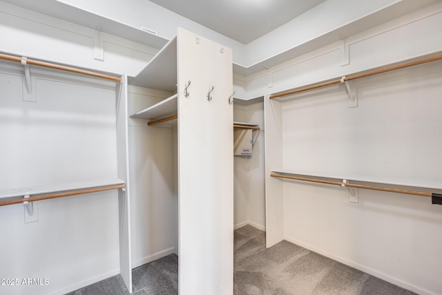 walk in closet with carpet floors