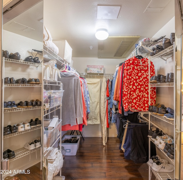 walk in closet with hardwood / wood-style flooring