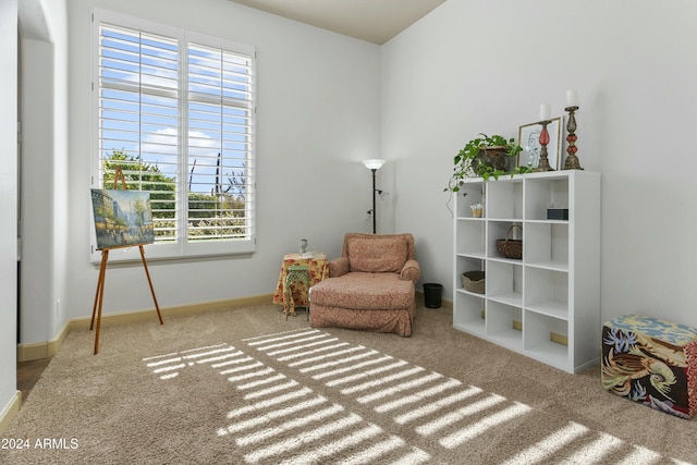 sitting room with carpet and plenty of natural light