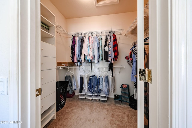 walk in closet featuring attic access and carpet flooring