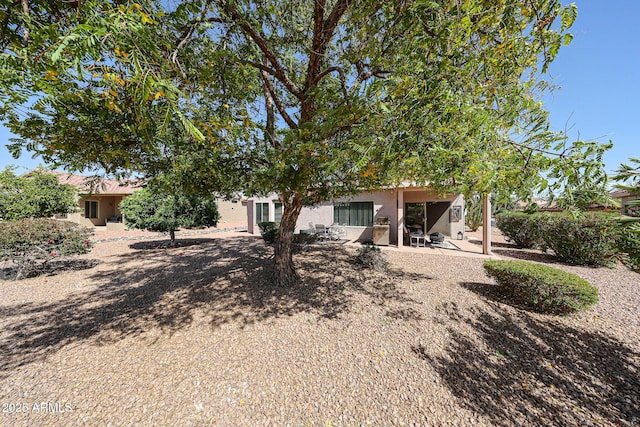 back of house featuring a patio and stucco siding