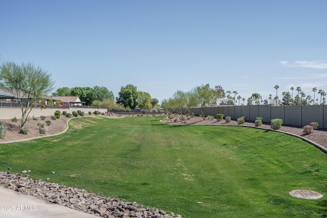 view of yard featuring a fenced backyard
