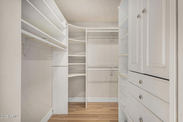 view of walk in closet