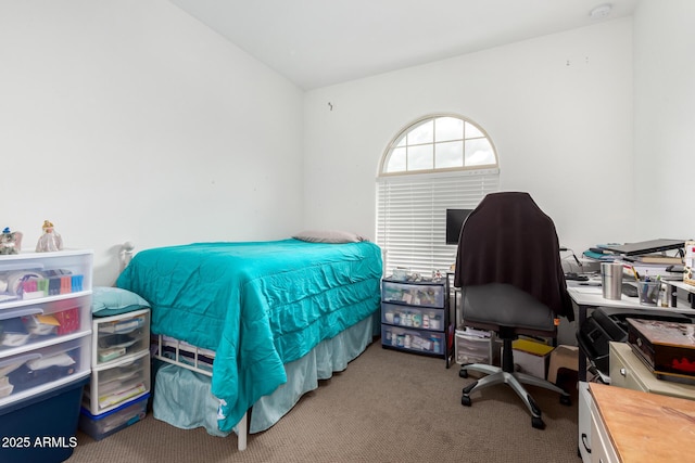 bedroom with carpet flooring