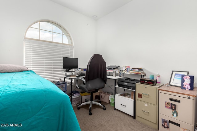 bedroom featuring light colored carpet