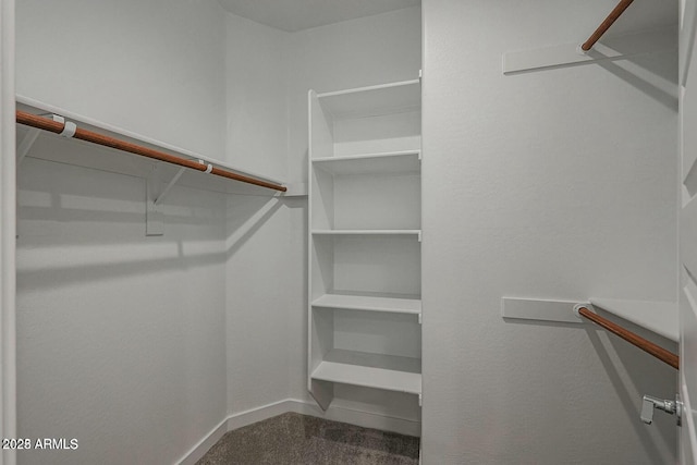 spacious closet featuring carpet flooring