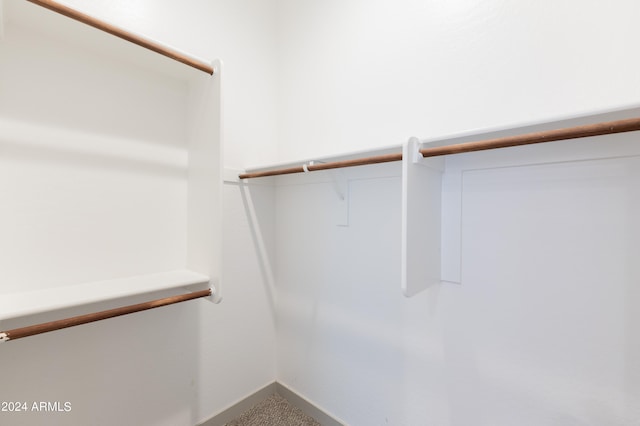 spacious closet featuring carpet