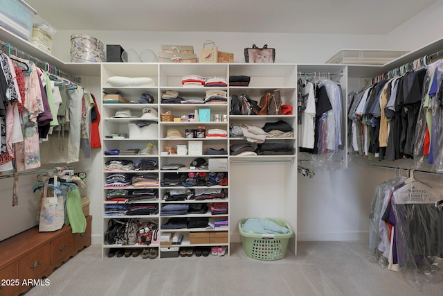 spacious closet with carpet