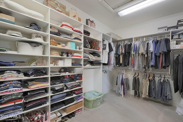 walk in closet with attic access and carpet floors