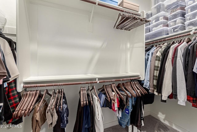 spacious closet featuring carpet flooring