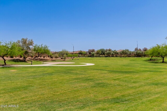 view of community with a lawn