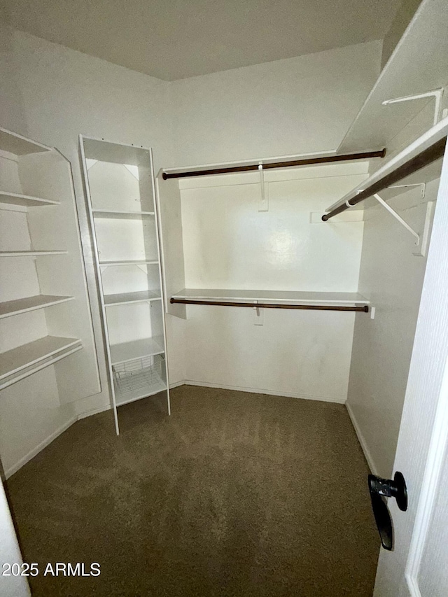 walk in closet with carpet