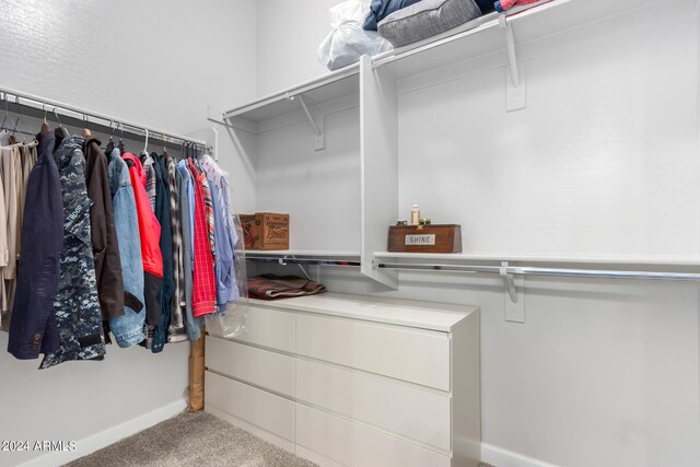 walk in closet featuring carpet floors
