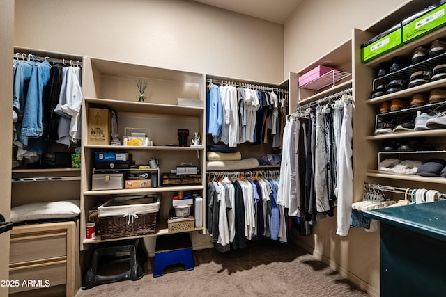 spacious closet with carpet flooring