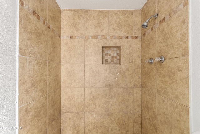 3042 N 87th Ave, Phoenix, AZ 85037 - bathroom view of tiled shower