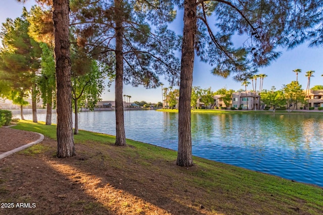 1825 W Ray Rd Unit 1070, Chandler, AZ 85224 - water view