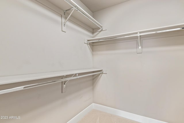spacious closet featuring carpet