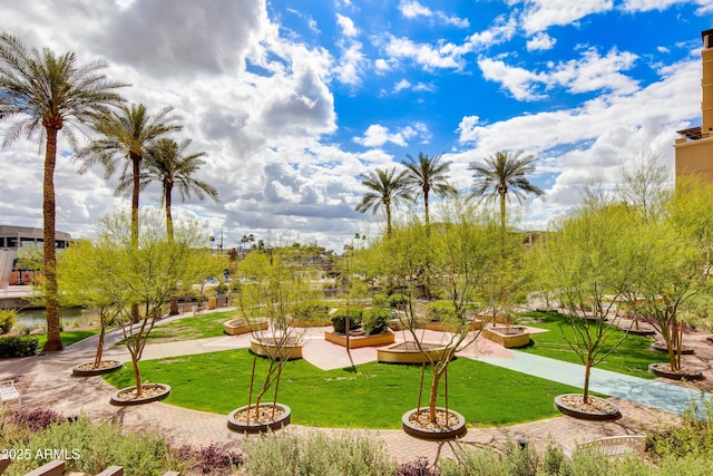 view of property's community with a yard