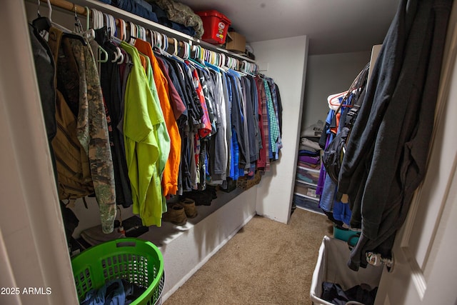 spacious closet with carpet floors