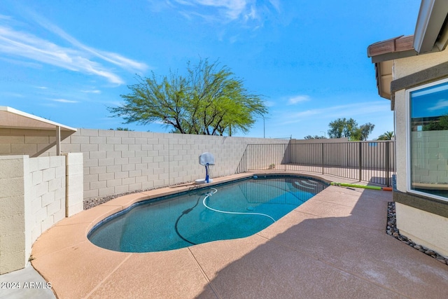 view of pool with a patio area