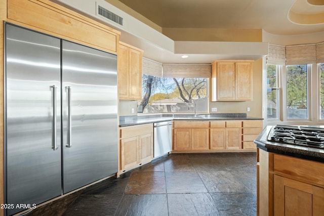 kitchen with a wealth of natural light, stainless steel appliances, and light brown cabinets