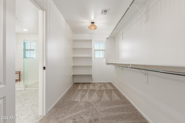 walk in closet featuring light colored carpet