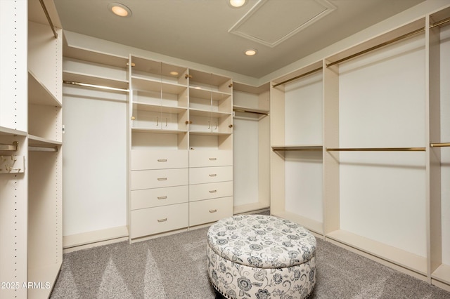 spacious closet with carpet