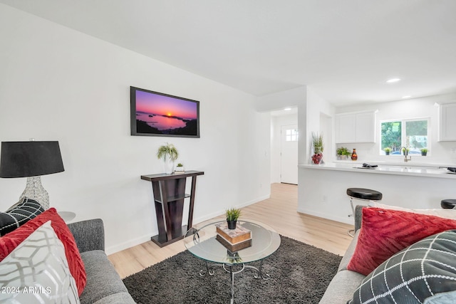 living room with light wood-type flooring and sink