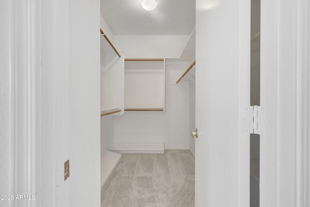 walk in closet with light carpet