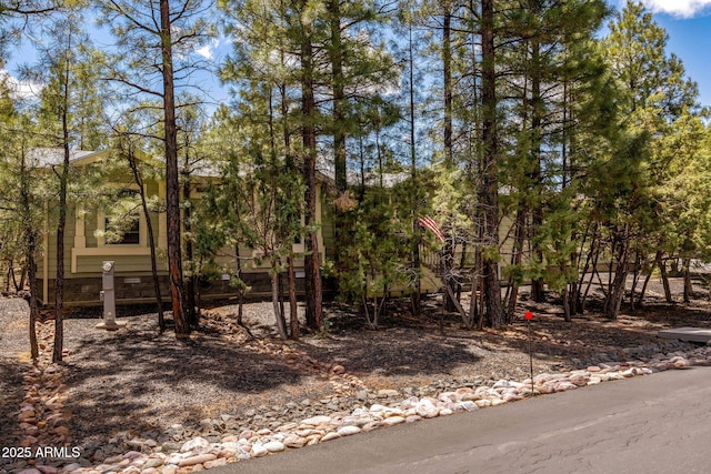2041 W Hacienda Way, Show Low, AZ 85901 - view of yard