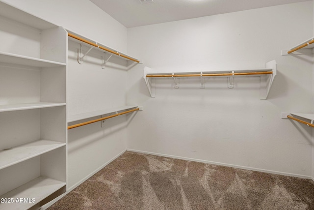 spacious closet featuring carpet floors