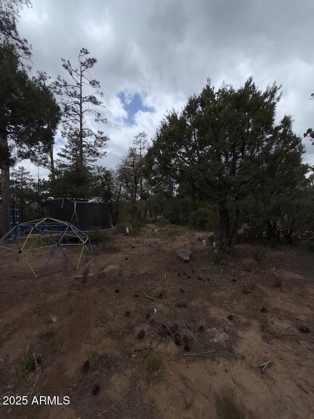 691 N Pyle Ranch Rd, Payson, AZ 85541 - view of yard featuring a trampoline
